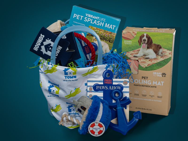 Splash, Play & Stay: The Ultimate Hounds Town Pup Package