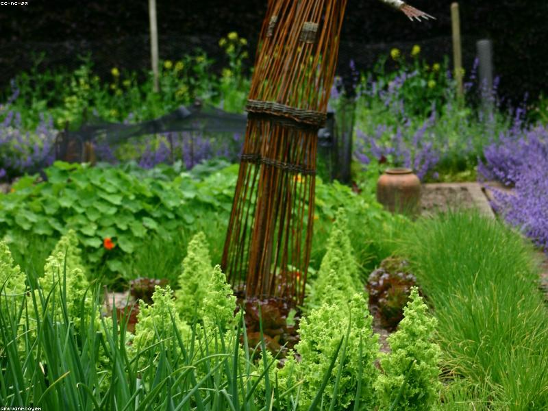 Raised Garden Bed Starter Kit