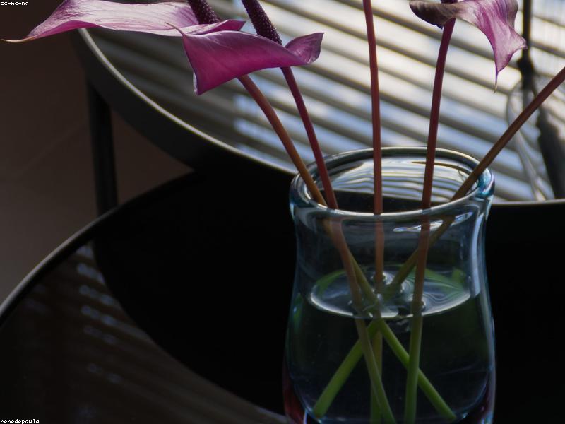 Handblown Glass Vase