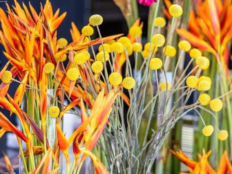 Farm to Table Brunch for Six