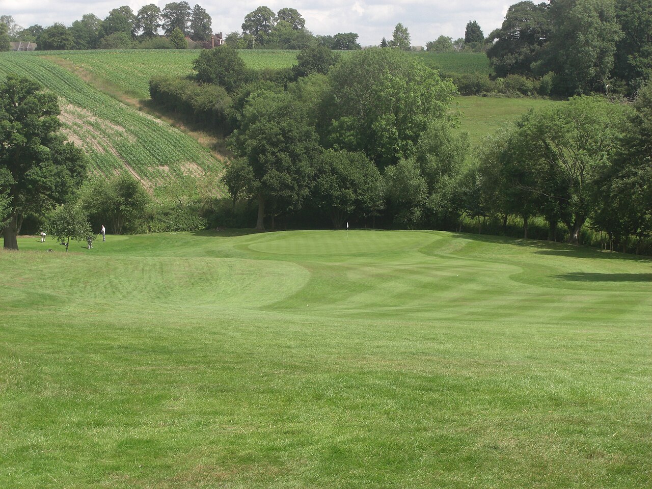 Foursome at Springboro Golf Club